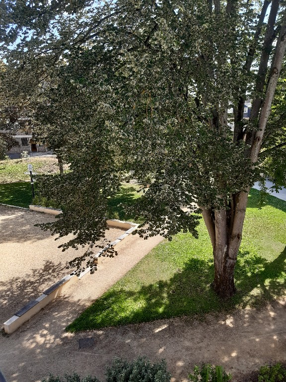 59493_53014052i