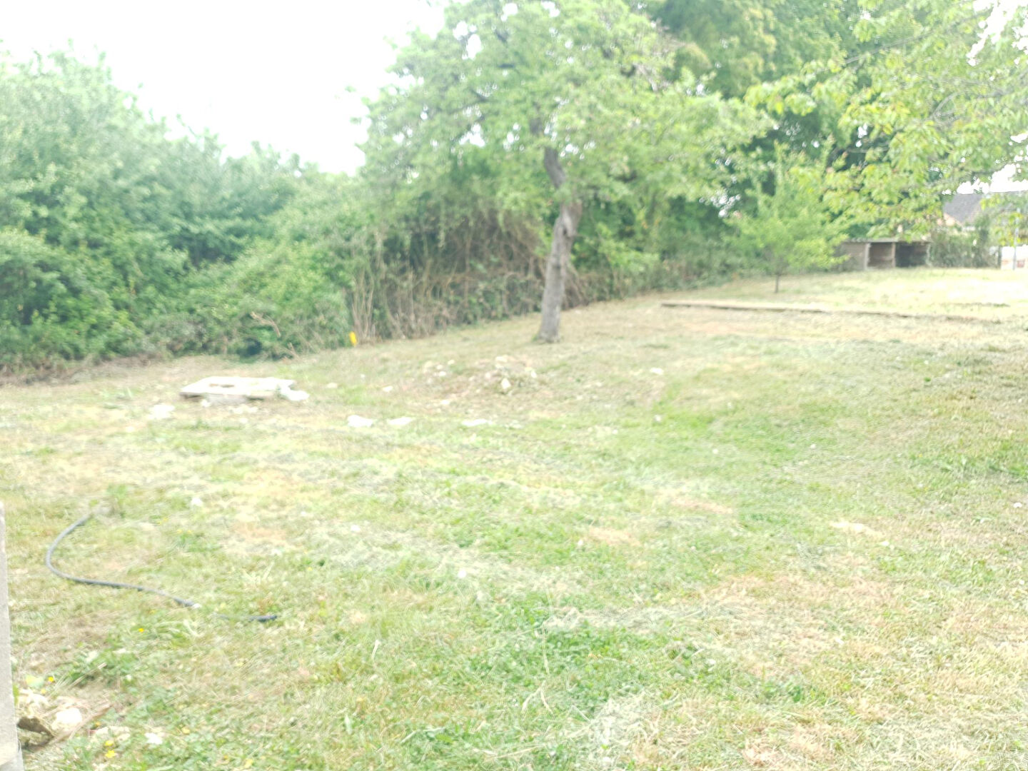 50950_58409225h