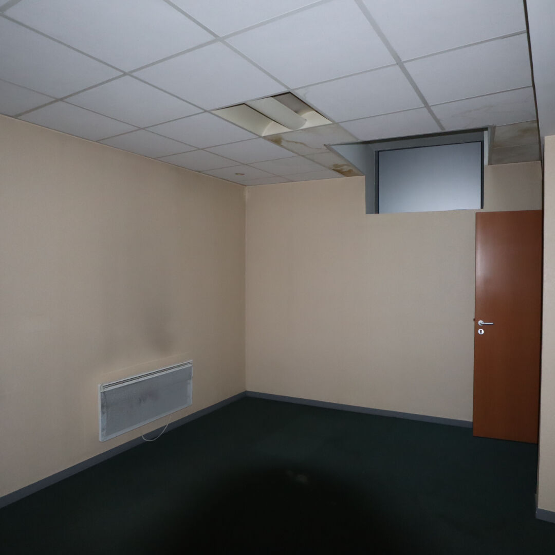 56801_53012677i
