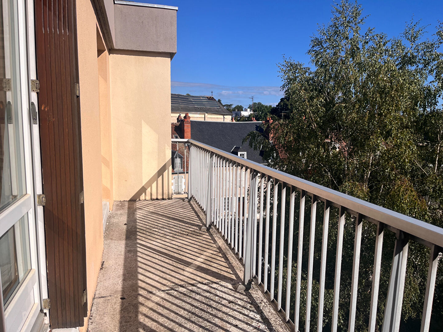63620_61491385h