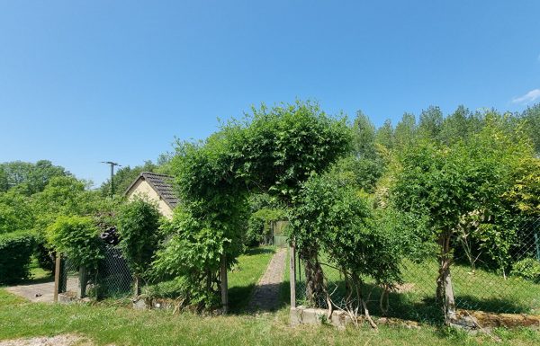 60902_60493324a